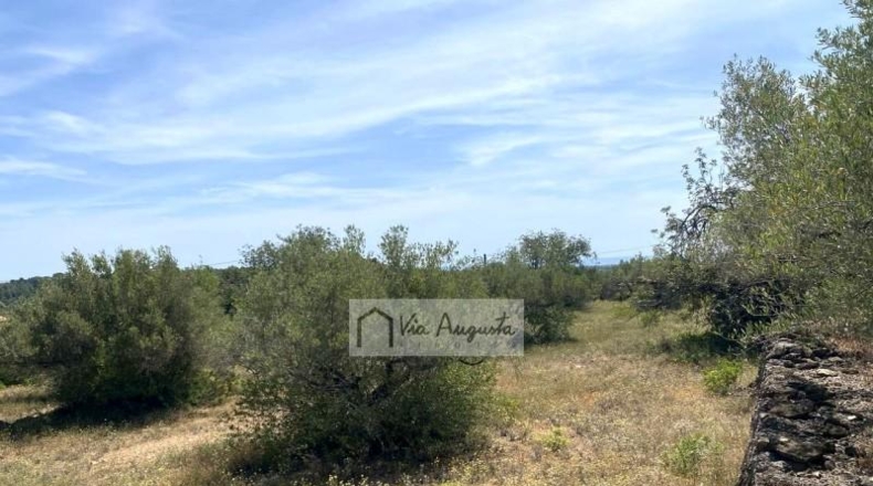 Tarragona - el Perelló - 12444m2