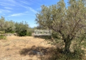 Terreno no urbanizable en venta en la España, el Perelló, ref: TR255801 foto