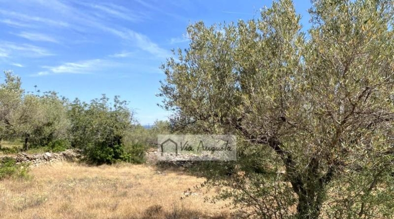 Tarragona - el Perelló - 12444m2