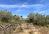 Terreno no urbanizable en venta en la España, el Perelló, ref: TR255801 foto