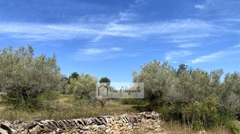 Tarragona - el Perelló - 12444m2