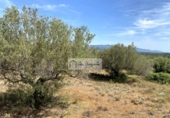 Terreno no urbanizable en venta en la España, el Perelló, ref: TR255801 foto