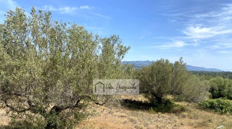 Tarragona - el Perelló - 12444m2