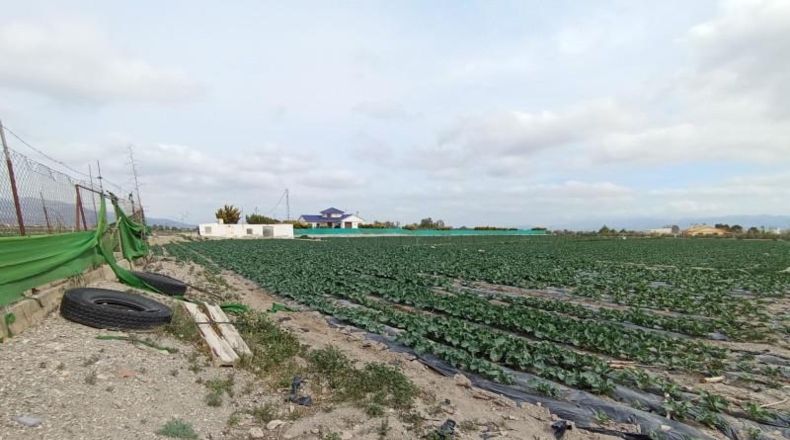 Múrcia - Puerto Lumbreras - 5000m2