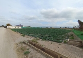 Terreny no urbanitzable en venda a la España, Puerto Lumbreras, ref.: TR312560 foto