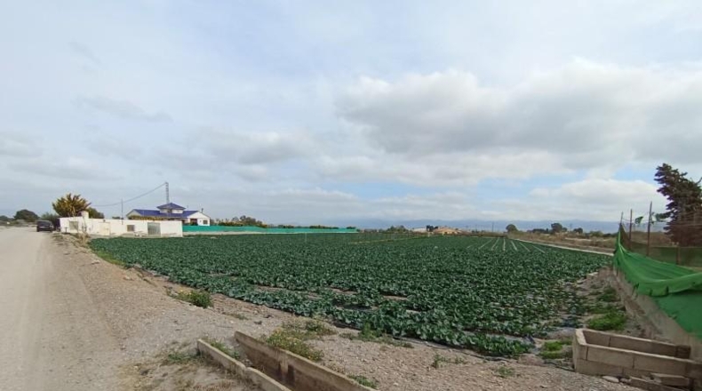 Múrcia - Puerto Lumbreras - 5000m2