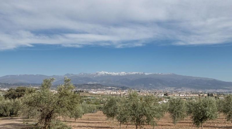 Granada - Albolote - 3930m2