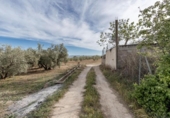 Non-developable land for sale on España, Albolote, ref: TR238485 photo