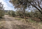 Non-developable land for sale on España, Albolote, ref: TR238485 photo