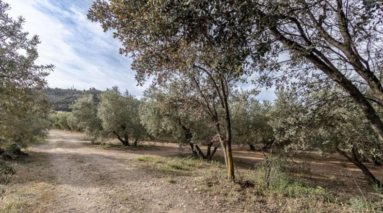 Granada - Albolote - 3930m2