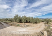 Non-developable land for sale on España, Albolote, ref: TR238485 photo