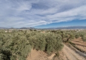 Non-developable land for sale on España, Albolote, ref: TR238485 photo