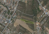 Non-developable land for sale on España, Albolote, ref: TR238485 photo
