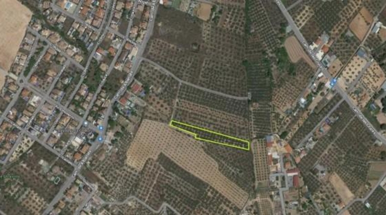 Granada - Albolote - 3930m2