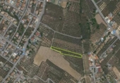 Non-developable land for sale on España, Albolote, ref: TR238483 photo