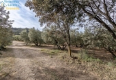 Non-developable land for sale on España, Albolote, ref: TR238483 photo