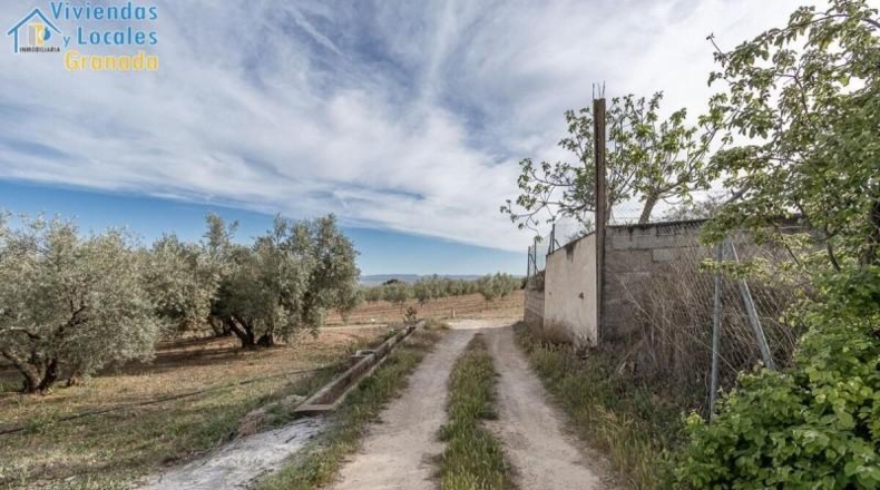 Granada - Albolote - 3930m2