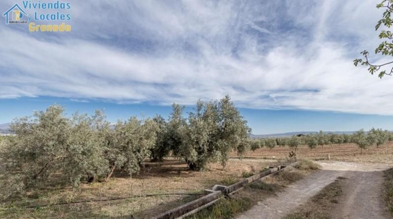 Granada - Albolote - 3930m2