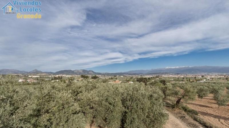 Granada - Albolote - 3930m2