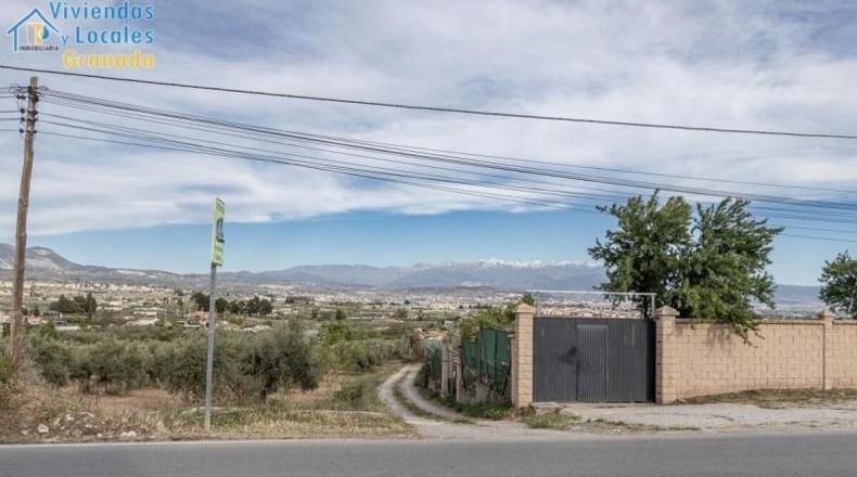 Granada - Albolote - 3930m2