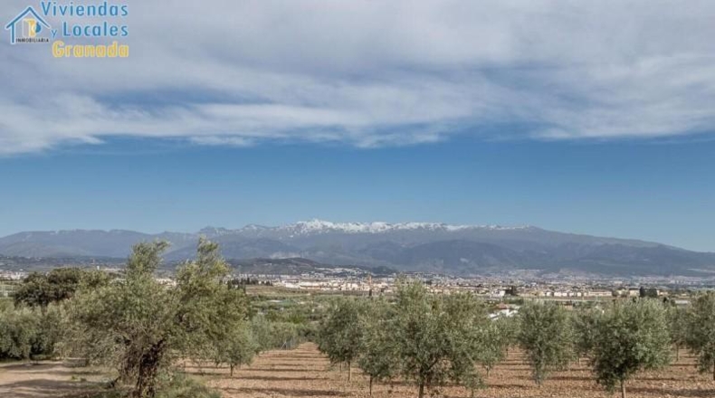 Granada - Albolote - 3930m2
