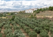 Non-developable land for sale on España, Villa de Otura, ref: TR319437 photo