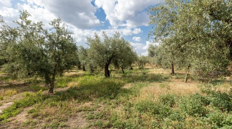 Granada - Villa de Otura - 3000m2