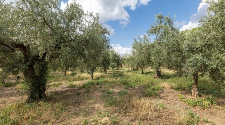 Granada - Villa de Otura - 3000m2