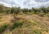 Non-developable land for sale on España, Villa de Otura, ref: TR319437 photo