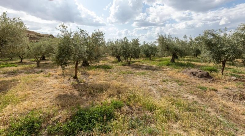 Granada - Villa de Otura - 3000m2