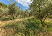Non-developable land for sale on España, Villa de Otura, ref: TR319437 photo
