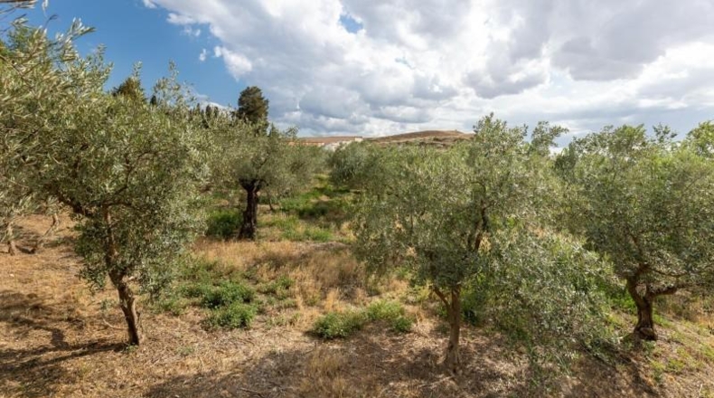 Granada - Villa de Otura - 3000m2