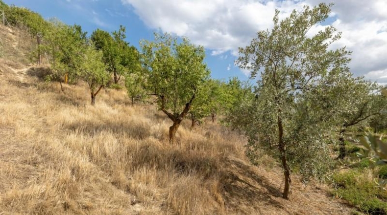 Granada - Villa de Otura - 3000m2