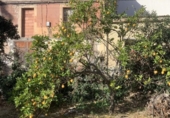 Detached villa with land for sale on España, Tortosa, ref: TR309411 photo