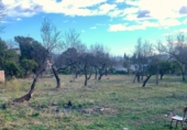 Detached villa with land for sale on España, Tortosa, ref: TR309411 photo