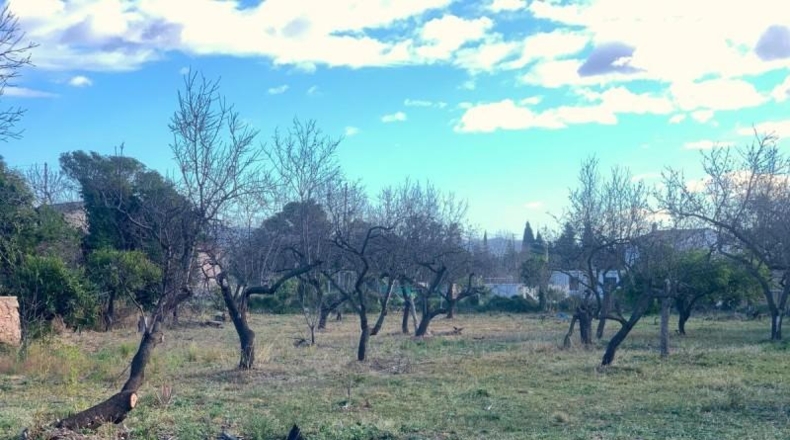 Таррагона - Tortosa - 3833m2