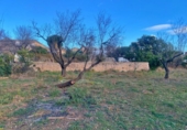 Detached villa with land for sale on España, Tortosa, ref: TR309411 photo