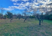 Detached villa with land for sale on España, Tortosa, ref: TR309411 photo