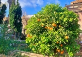 Detached villa with land for sale on España, Tortosa, ref: TR309411 photo