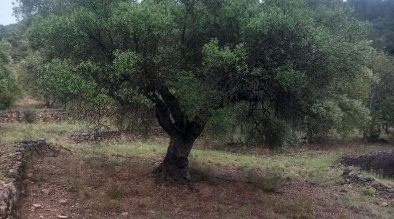 Tarragona - Tivenys - 26m2