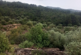 Foto 8
