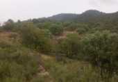 Xalet independent amb terreny en venda a la España, Tivenys, ref.: TR317712 foto