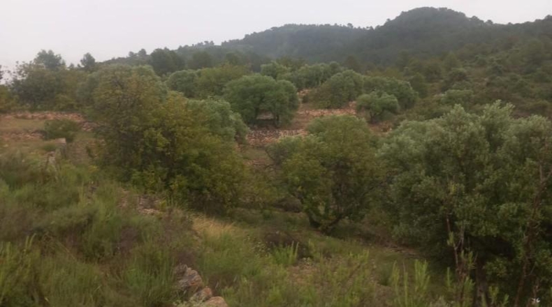Tarragona - Tivenys - 26m2