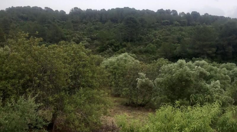 Tarragona - Tivenys - 26m2