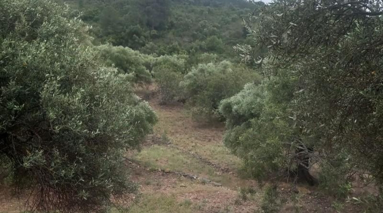 Tarragona - Tivenys - 26m2