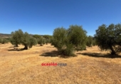 Casa amb terreny en venda a la España, Belmez, ref.: TR340740 foto