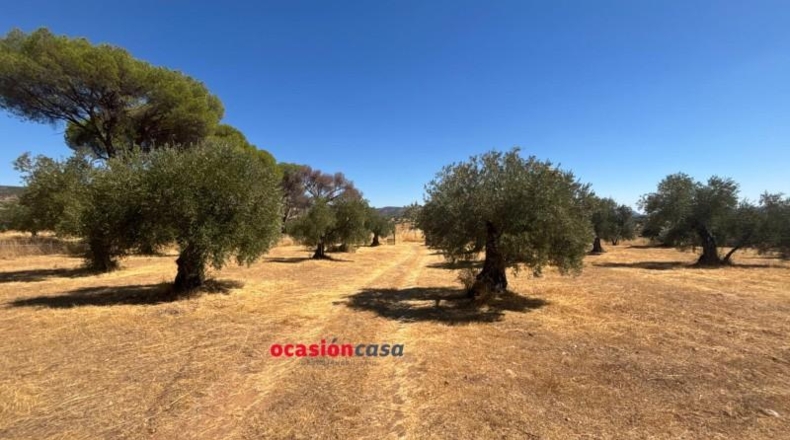 Cordova - Belmez - 13370m2