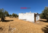 Casa amb terreny en venda a la España, Belmez, ref.: TR340740 foto