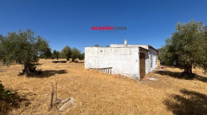 Cordova - Belmez - 13370m2