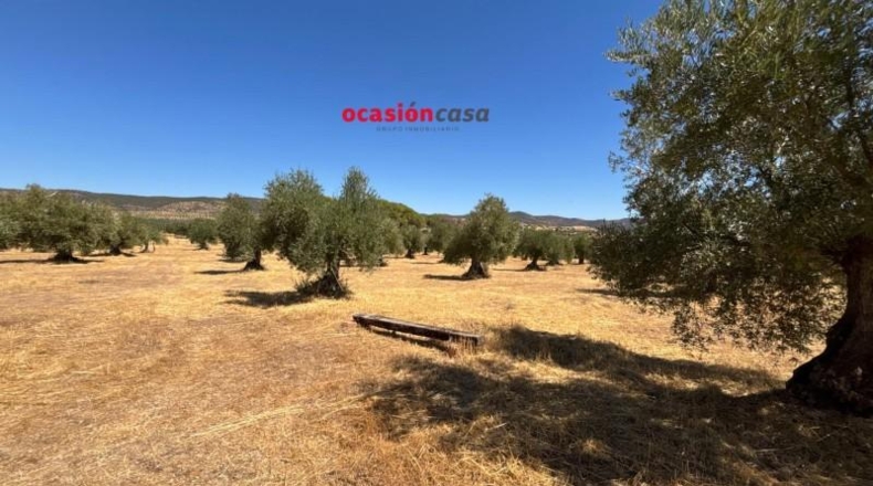 Cordova - Belmez - 13370m2